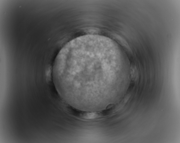 X0000094200717200711161808