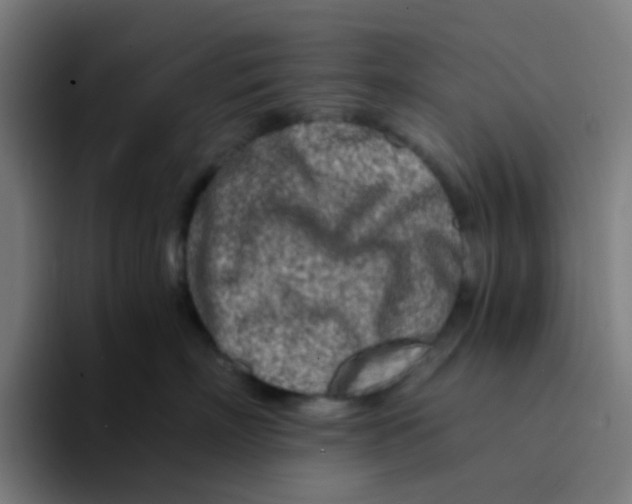 X0000094200718200711161808