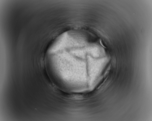 X0000094200719200711161808