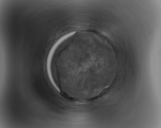 X0000094200720200711161808