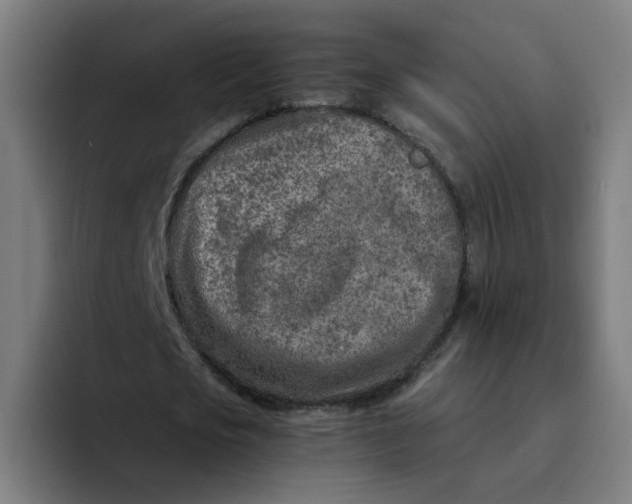 X0000094200721200711161807