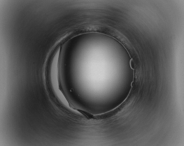 X0000094200722200711161807