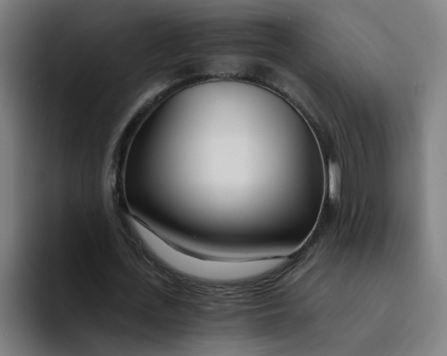 X0000094200723200711161807