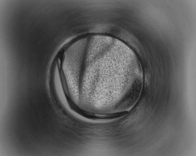 X0000094200724200711161807