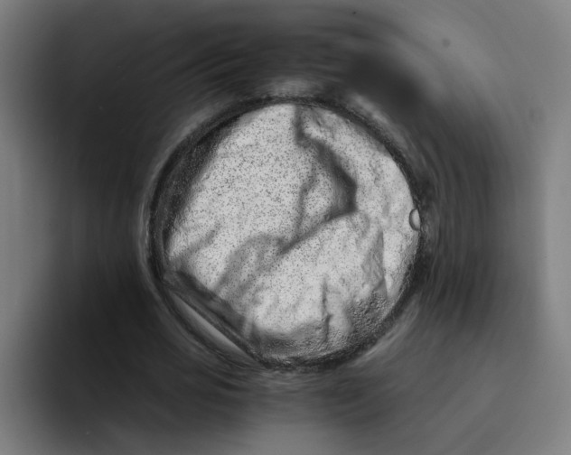 X0000094200725200711161807