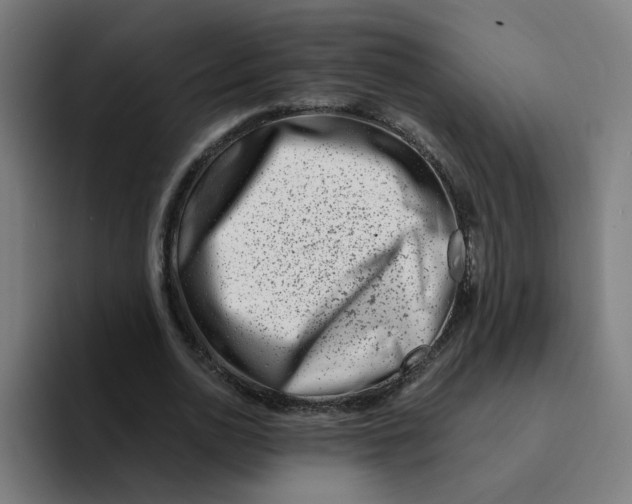 X0000094200726200711161807