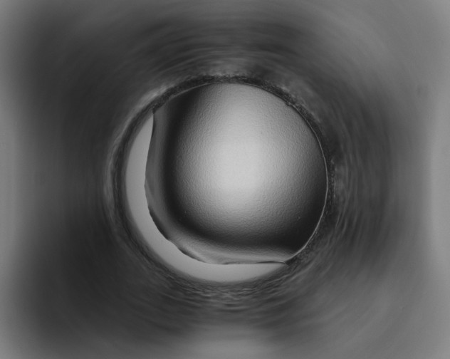 X0000094200727200711161807