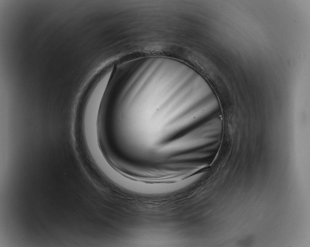 X0000094200728200711161807