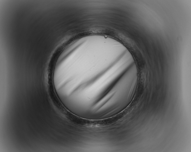 X0000094200730200711161808