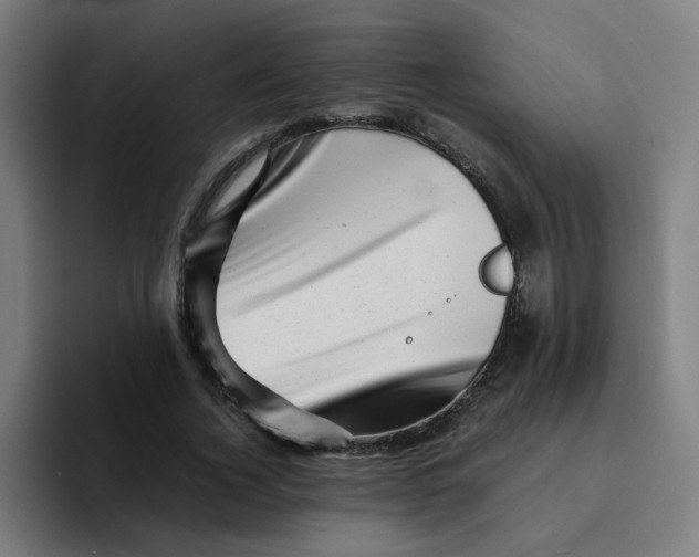 X0000094200732200711161808