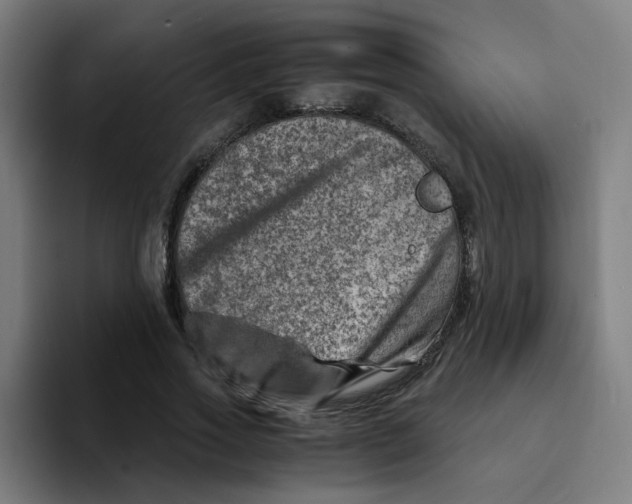 X0000094200733200711161808