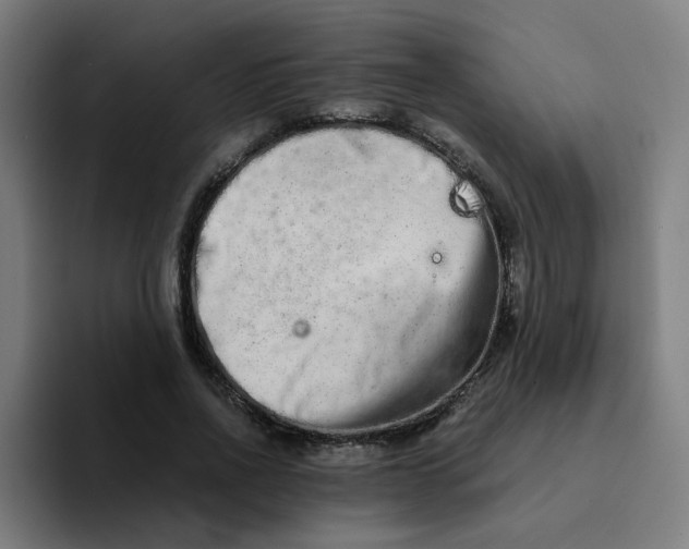 X0000094200734200711161808