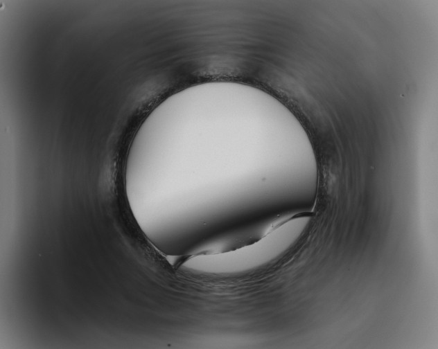 X0000094200735200711161808