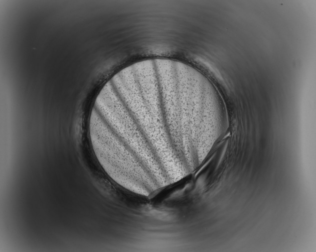 X0000094200736200711161808