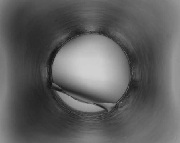 X0000094200740200711161808