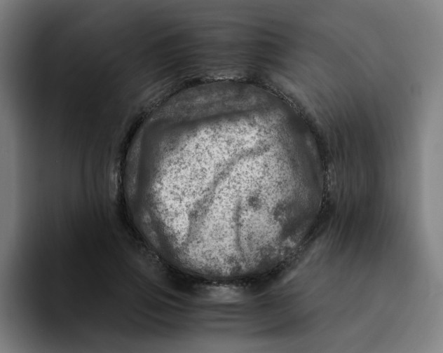 X0000094200741200711161808