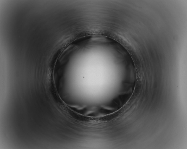 X0000094200744200711161808