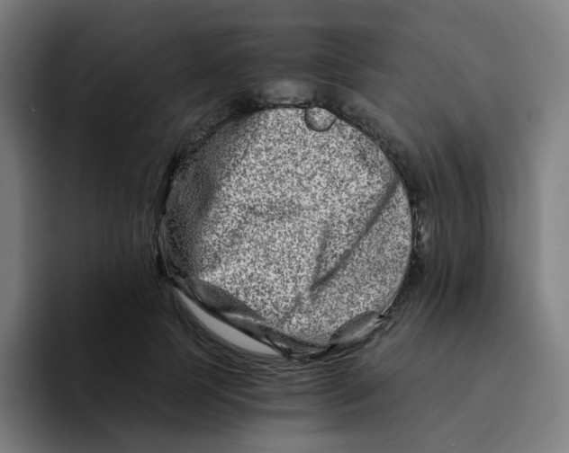 X0000094200745200711161808