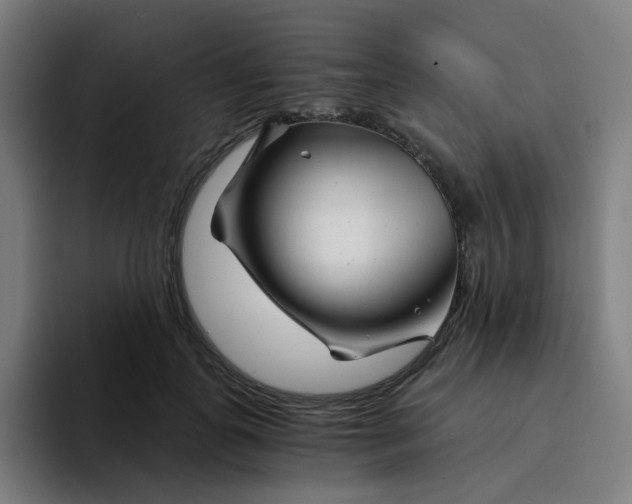 X0000094200747200711161808