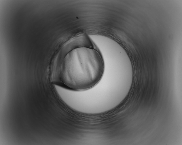 X0000094200748200711161808