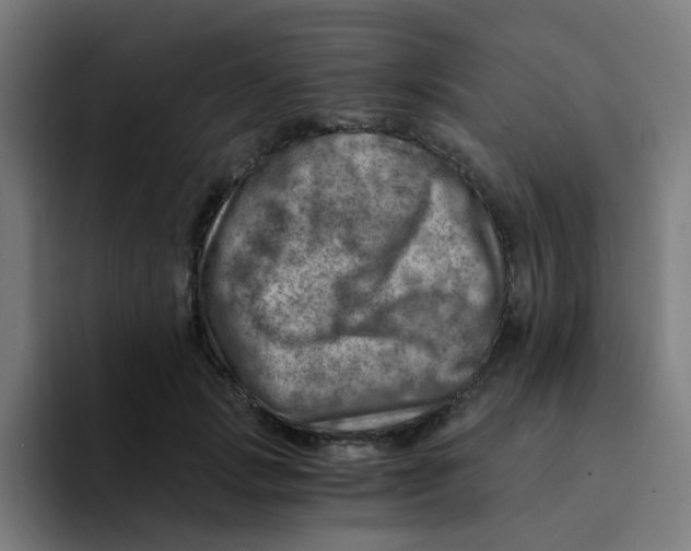 X0000094200749200711161808