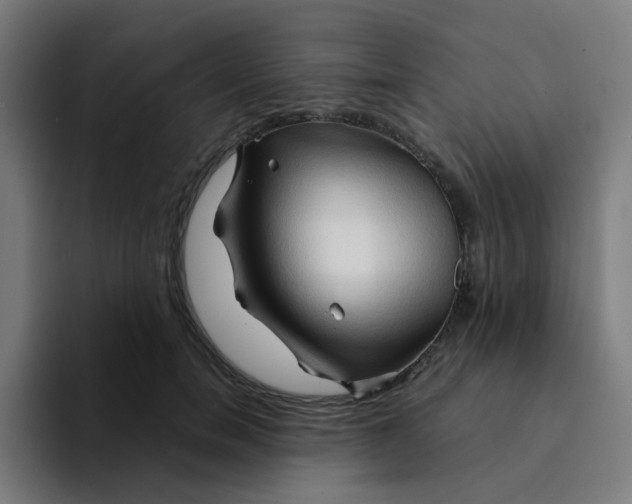 X0000094200750200711161808