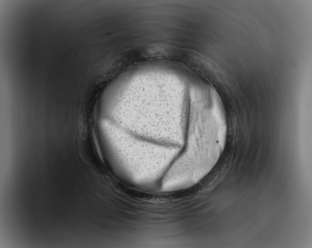 X0000094200751200711161808