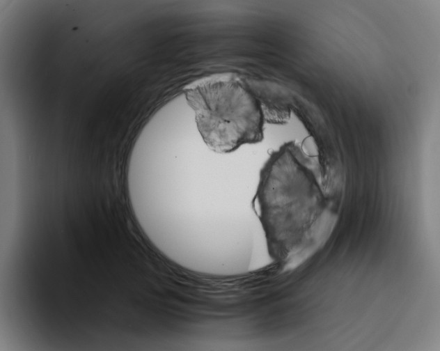 X0000094200753200711161808