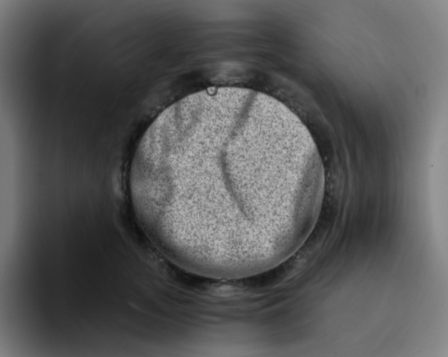 X0000094200755200711161808