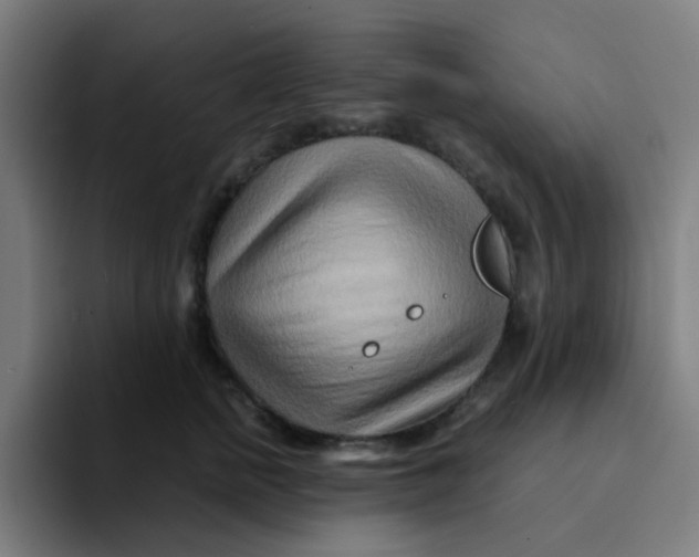 X0000094200758200711161808