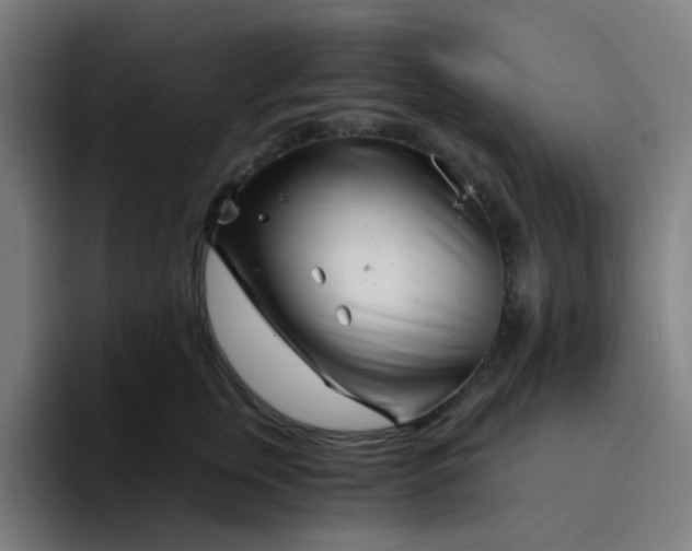 X0000094200759200711161808