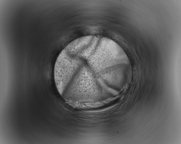 X0000094200760200711161808