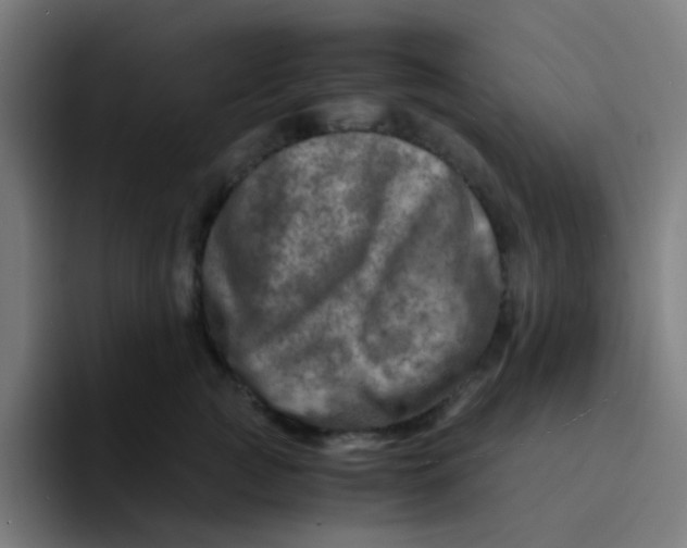 X0000094200761200711161808