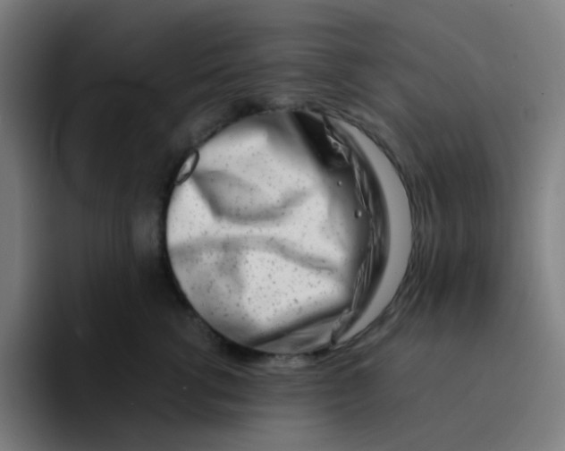 X0000094200762200711161808