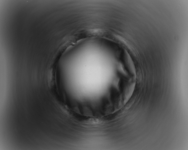 X0000094200764200711161808