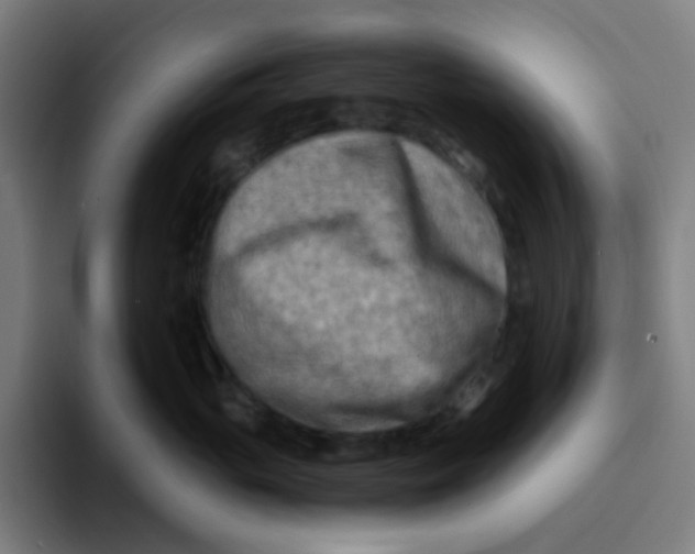 X0000094200765200711161808