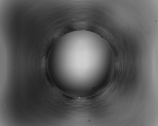 X0000094200767200711161808