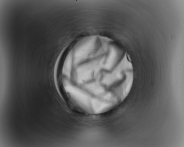 X0000094200768200711161808