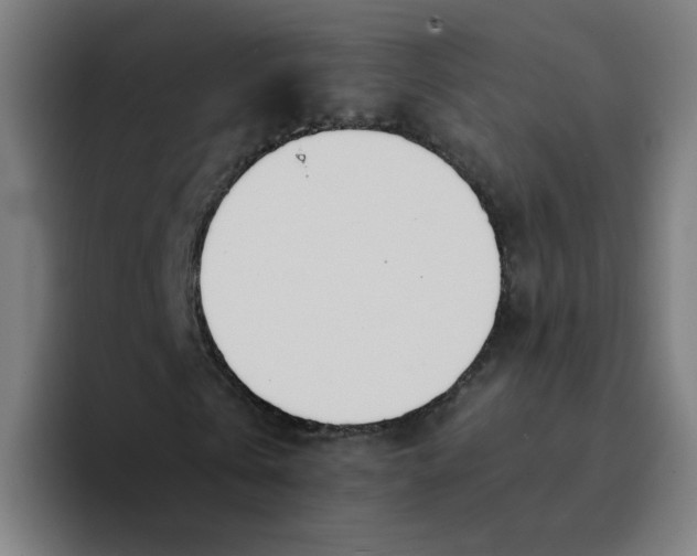 X0000094200769200711161807