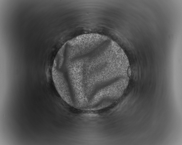 X0000094200770200711161807