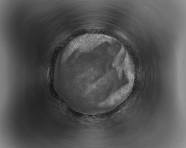 X0000094200774200711161807