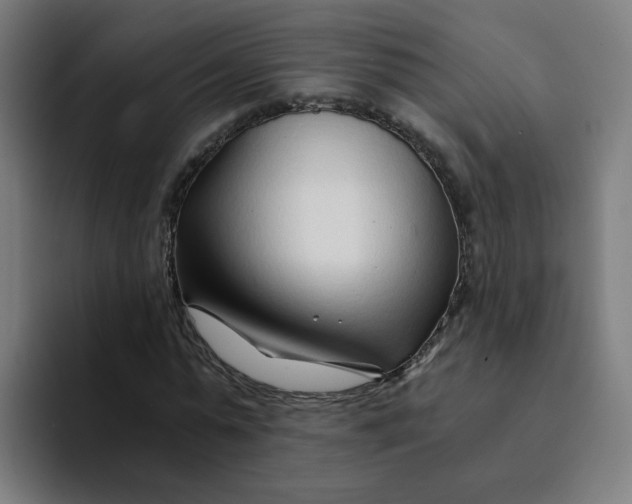 X0000094200775200711161807