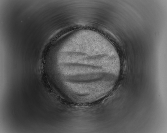 X0000094200776200711161807