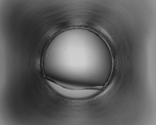 X0000094200777200711161807