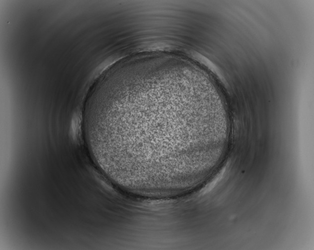 X0000094200778200711161807