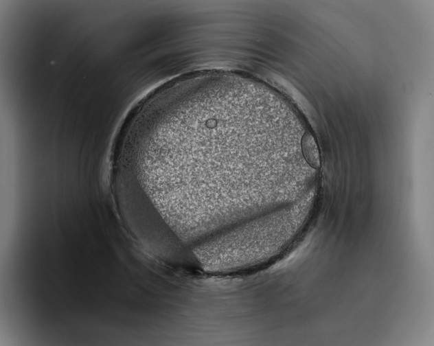 X0000094200779200711161807