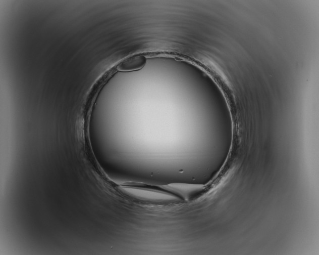 X0000094200781200711161807