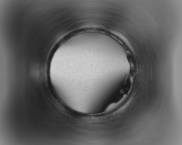 X0000094200783200711161807