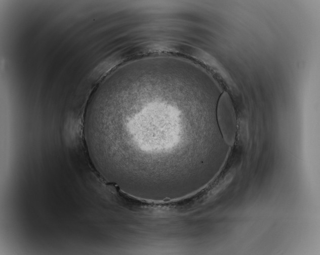 X0000094200785200711161807