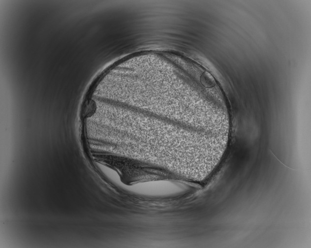 X0000094200787200711161807